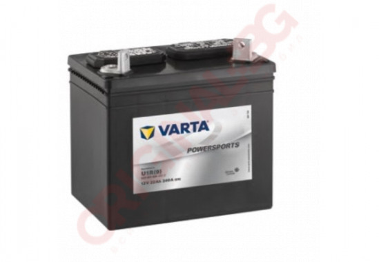 VARTA POWERSPORTS GARDENING 22AH 340A 12V R+